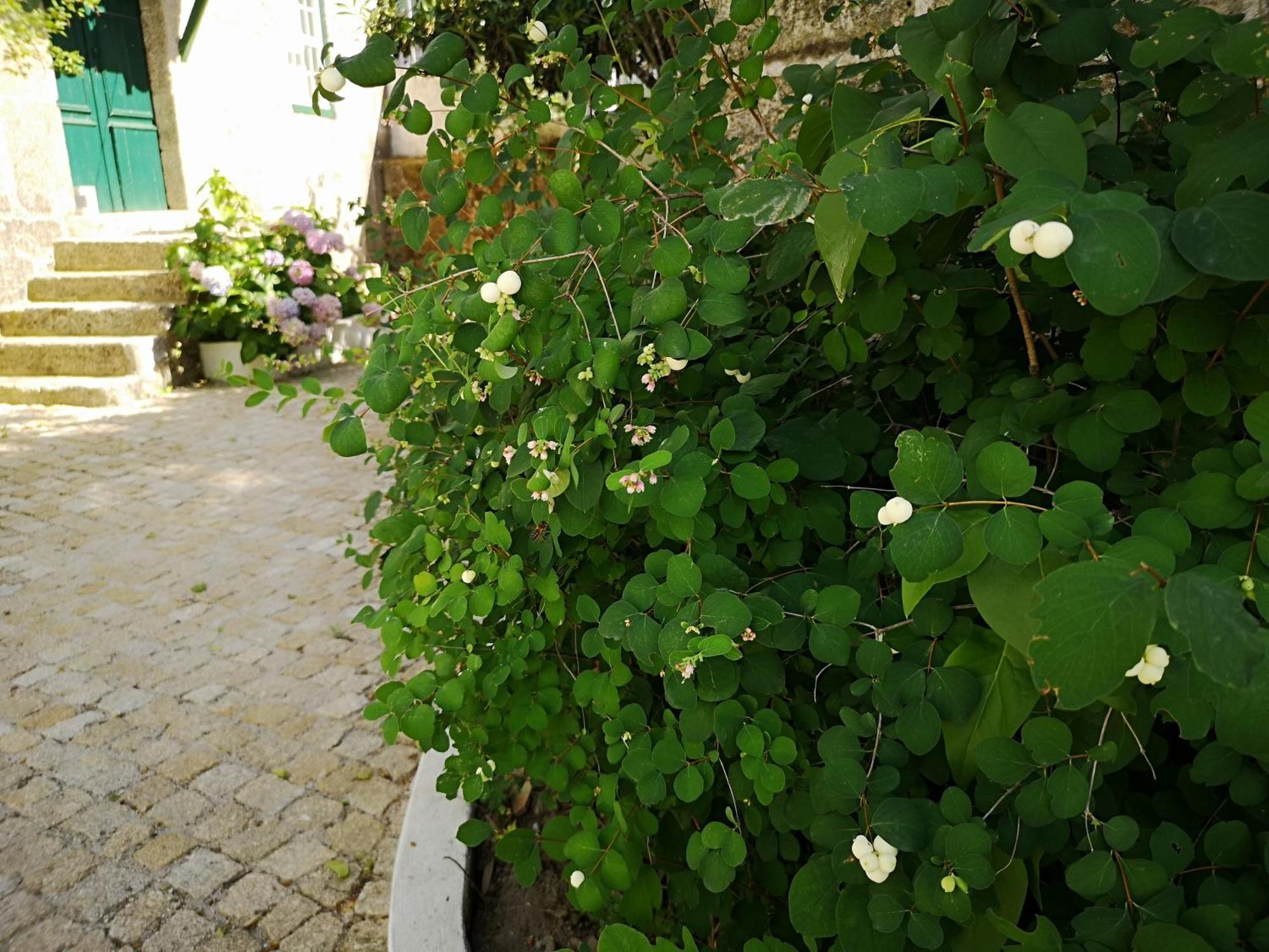 Refugio De Calheiros Villa Covilha Exterior photo